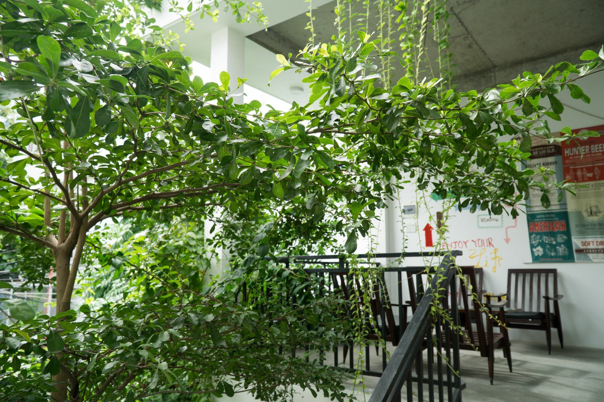Kiu House - 3Br - Green & Artistic Da Nang Bagian luar foto