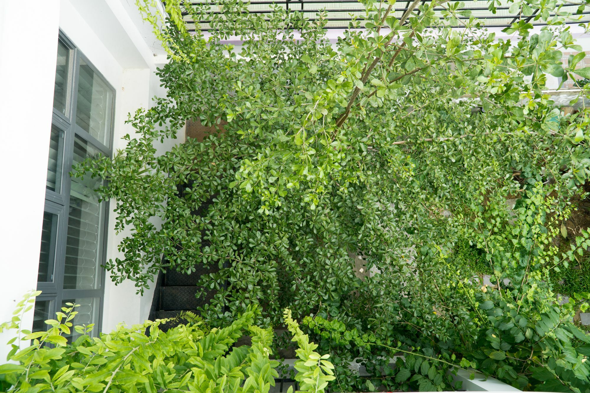 Kiu House - 3Br - Green & Artistic Da Nang Bagian luar foto